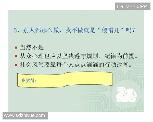 以规则为核心构建社会秩序的意义与实践探索