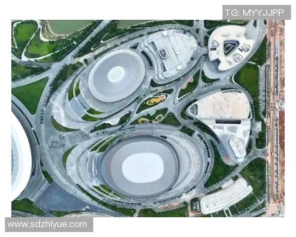 体育场作为城市文化与娱乐中心的多功能发展探讨与未来展望